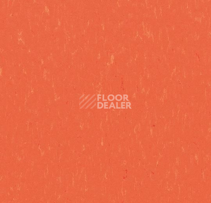 Линолеум Forbo Marmoleum Solid Piano 3651-365135 zinnia фото 1 | FLOORDEALER